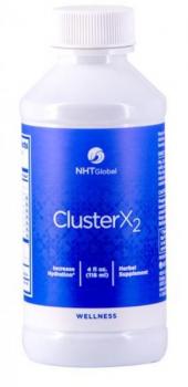 NHT Global Cluster X2 9003